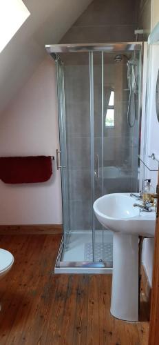 a bathroom with a shower and a sink at Fanore Holiday Cottages in Ballyvaughan
