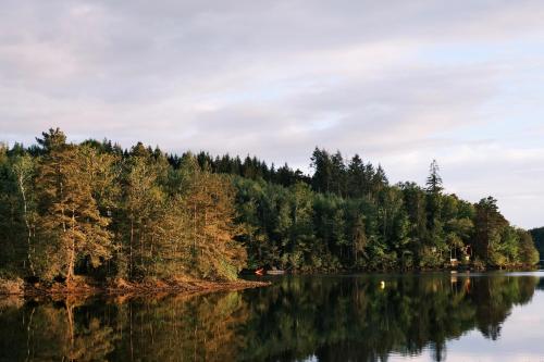 a view of a lake with trees on the shore at Lodge avec SPA privatif - Foret et Lac in Liginiac
