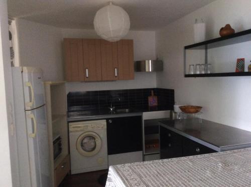 une cuisine avec un lave-linge et un lave-linge dans l'établissement Appartement avec vue sur le lac du Bourget, à Pugny-Chatenod