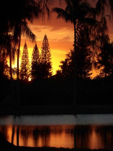 a sunset with palm trees and a body of water at Ocean Pearl in Kahuku