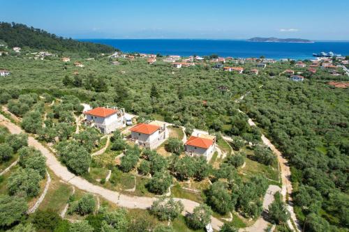 an aerial view of a house on a hill next to the ocean at Helicon Luxury Villas in Limenas