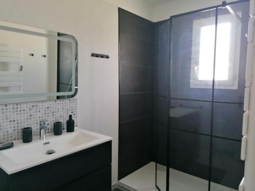 une salle de bain avec un lavabo et une douche dans l'établissement La Maison des Roses, à Longeville-sur-Mer