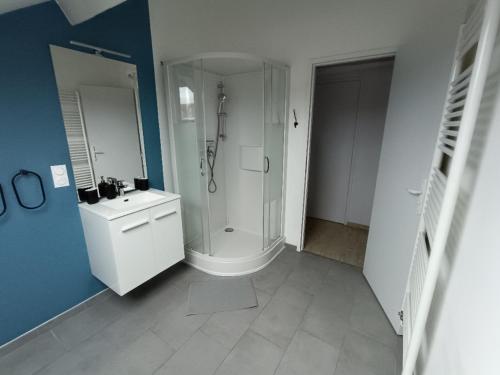 La salle de bains blanche est pourvue d'une douche et d'un lavabo. dans l'établissement Maison 6 chambres avec jardin à Angers, à Angers