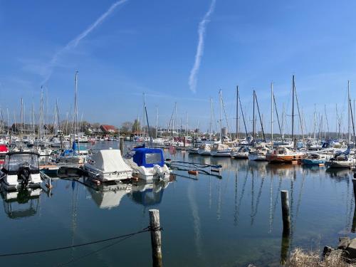 a bunch of boats docked in a harbor at Hausboot LUMME - Huus & Meer in Großenbrode-Kai