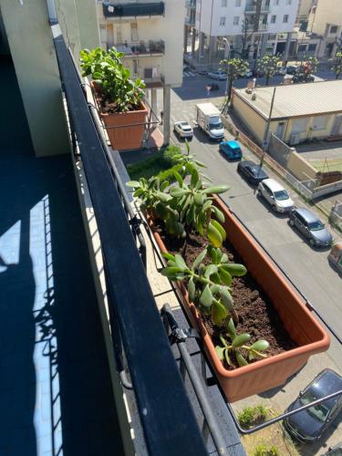 a balcony with plants on the side of a building at Foscolo 20 in La Spezia