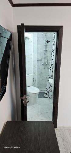 łazienka z toaletą i szklanymi drzwiami w obiekcie Pensiunea Minerva w Bystrzycy