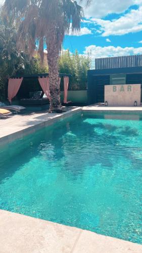 - une piscine bordée d'un palmier dans l'établissement Studio * Calme & Cosy *, à Arles
