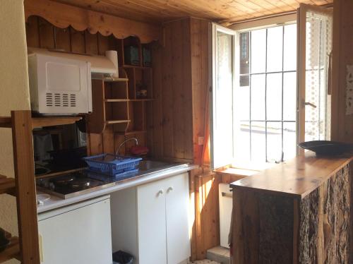 a kitchen with a stove and a microwave at studio ensoleillé avec jardin pour 2 à Monêtier in Le Monêtier-les-Bains