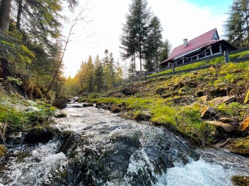 Phong cảnh thiên nhiên gần nhà nghỉ dưỡng