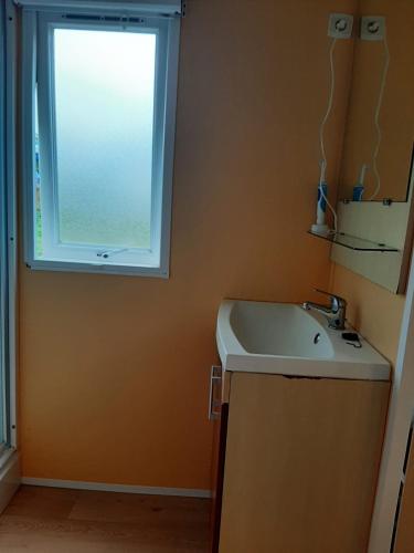 une salle de bain avec un lavabo et une fenêtre dans l'établissement Mobil-home Puy du Fou, à La Boissière-de-Montaigu