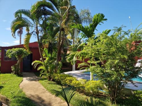 諾西貝的住宿－Bungalow chez Mouch Nosy-Be 4，棕榈树房屋和车道