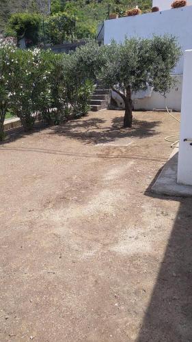 Κήπος έξω από το La Casuzza Dei Re