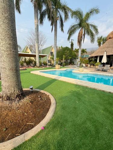 a yard with a swimming pool and palm trees at VILLAS EL ENCANTO in Jalpan de Serra