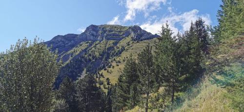 a mountain with trees on the side of it at Le Galussel Gite d'étape et de séjour in Saint-Sébastien