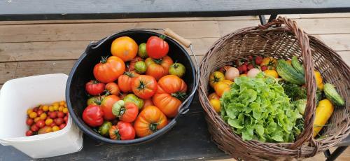 three baskets of fruits and vegetables on a table at Le Galussel Gite d'étape et de séjour in Saint-Sébastien