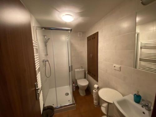 Koupelna v ubytování Apartment Sklipek Alsop