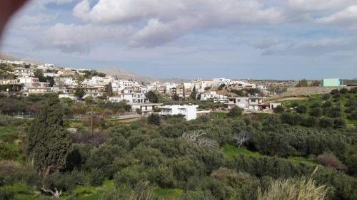 a town on a hill with trees and buildings at Hotel zakros rooms-restaurant in Zákros