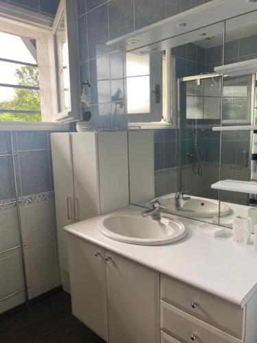 une salle de bain avec un lavabo et un miroir dans l'établissement MAISON de VACANCES, à Seyresse