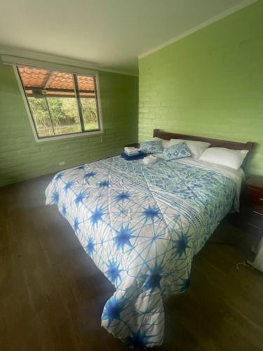 une chambre avec un lit dans une pièce verte dans l'établissement Dogsland Pululahua - Bienvenidos - Ferienwohnungen, à Quito