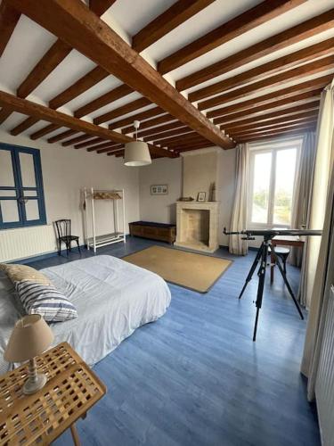 une grande pièce avec un lit et une cheminée dans l'établissement Maison de campagne à la mer, à Ver-sur-Mer