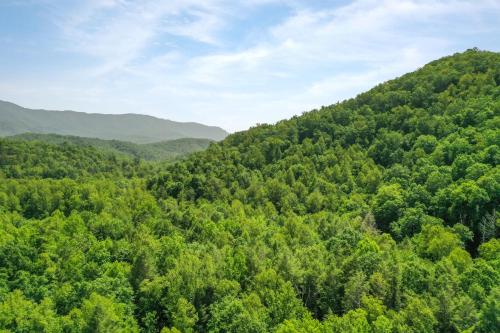 an aerial view of a forest with mountains in the background at Cozy Bear Hideaway By Stony Brook Cabins in Cosby
