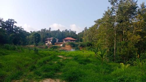 a house in the middle of a green field at Coffee Country Homestay in Chikmagalūr