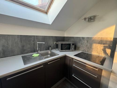 une cuisine avec un évier et un micro-ondes dans l'établissement Modern'Studio, à Puiseux-en-France