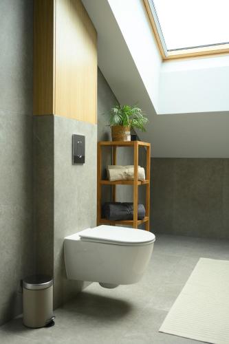 a bathroom with a toilet and a skylight at Pine Attic - new & cozy 3 bedroom apartment,Nida in Nida