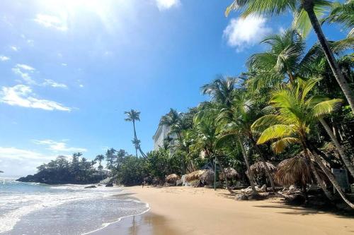 une plage de sable avec des palmiers et l'océan dans l'établissement casa perfeita de sonho e completa, à Armacao dos Buzios