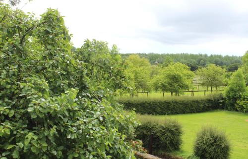 - une vue sur un parc arboré et un champ dans l'établissement La Cour Saint Richer, à Basseneville