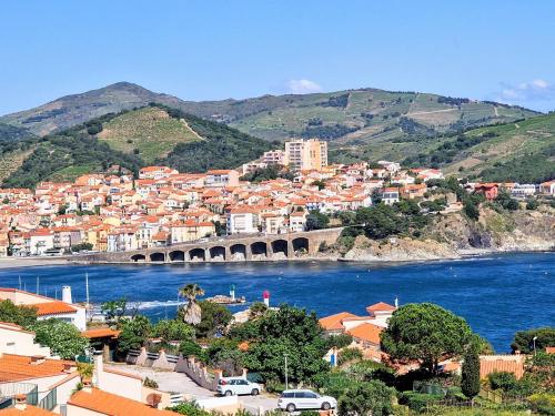 BANYULS-SUR-MER, T2 avec WIFI et parking - FR-1-309-30