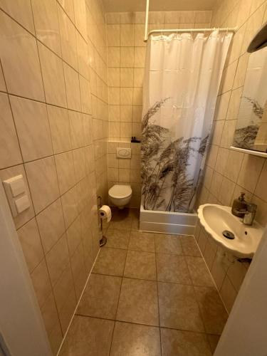 a bathroom with a shower and a toilet and a sink at F-F Haus Monteuren Unterkunft in Neuhausen auf den Fildern