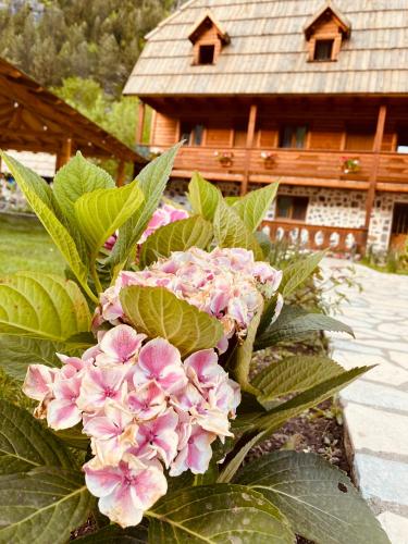 a bouquet of pink flowers in front of a house at Guesthouse Prrockaj Theth in Theth