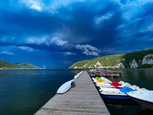 a group of boats docked at a dock on a lake at Pensiunea SEPTEMBRIE in Eşelniţa