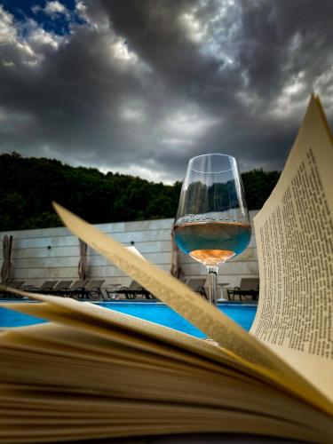 a glass of wine sitting next to an open book at Pensiunea SEPTEMBRIE in Eşelniţa