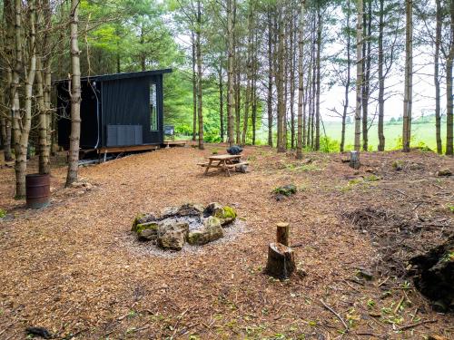 a cabin in the middle of a forest with a picnic table at Little Cabin in the Pines in Chatsworth