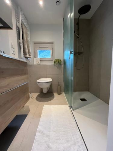 une salle de bain avec toilettes et douche en verre dans l'établissement Residence VARLOPE, à Chamonix-Mont-Blanc