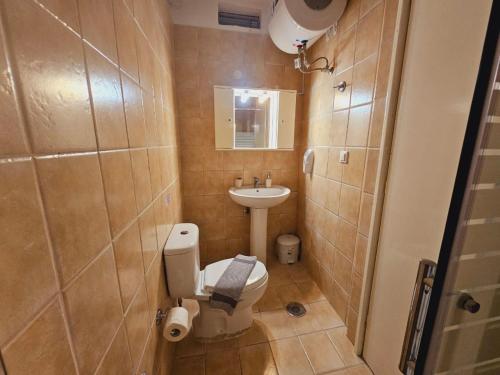 un piccolo bagno con servizi igienici e lavandino di Apartment Classic type Aa5 24 a Pelekas