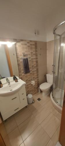 a bathroom with a sink and a toilet and a shower at Stella apartments in Olympiaki Akti