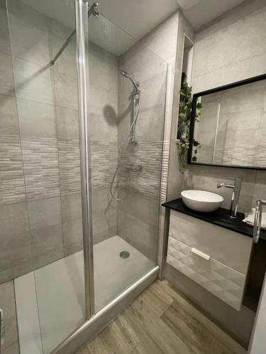 une salle de bain avec douche et lavabo dans l'établissement Magnifique appartement moderne hyper centre, à Saint-Étienne