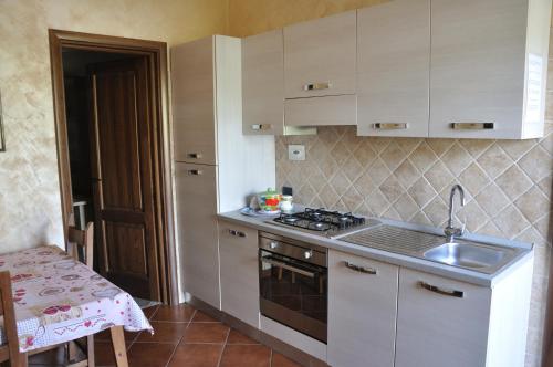 eine Küche mit einer Spüle und einem Herd Top-Backofen in der Unterkunft B&B Colle Mattia in Colonna