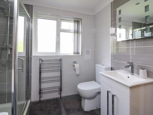 y baño con aseo, lavabo y ducha. en Aberdauddwr en Llanwnen
