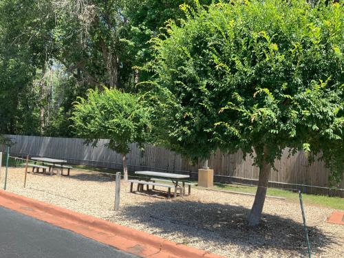 two picnic tables and a tree in a park at Days Inn by Wyndham Lake City I-10 in Lake City