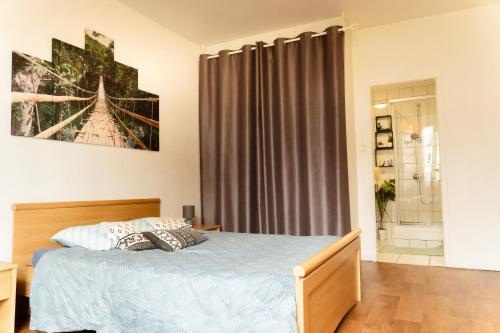 - une chambre avec un lit et une douche dans l'établissement Charmant appartement Chalonnais- Proche de la gare, à Chalon-sur-Saône