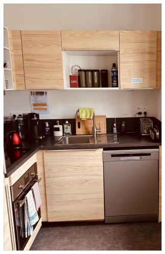 uma cozinha com um lavatório e uma máquina de lavar louça em Chez David et Bene em Rennes