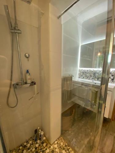 une douche avec une porte vitrée dans une salle de bain dans l'établissement Grand appartement T4, vue unique lac, terrasse et spa, à Annecy-le-Vieux