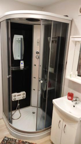 a shower in a bathroom with a sink at Stropi Apartment Daugavpils in Daugavpils
