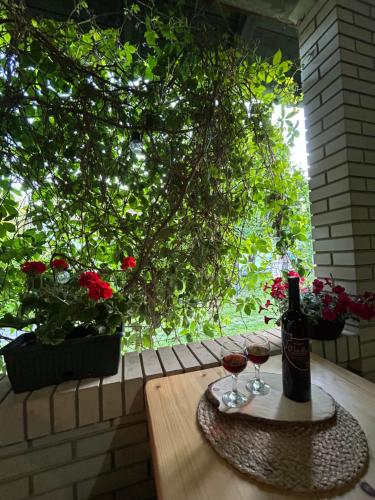a bottle of wine sitting on a table with two glasses at Apartman Maša in Belo Blato