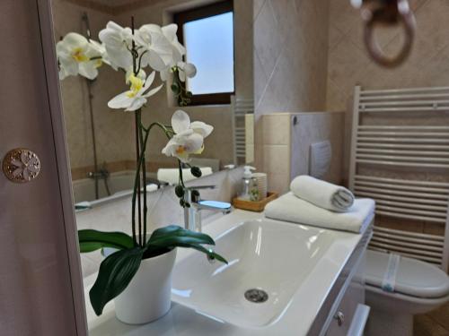 Fotografie z fotogalerie ubytování Apartman JASNA v destinaci Opatija