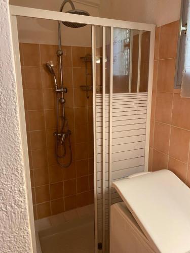 une salle de bain avec une douche avec des toilettes et un lavabo dans l'établissement Maison des anges, à Villars